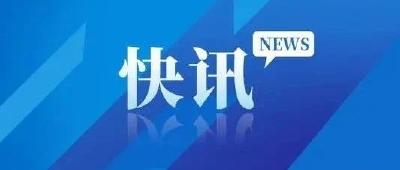 权威发布丨湖北汽车产业规模今年有望达到万亿级